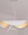 Asymmetrical Pendant Lamp