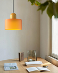 Curved Sculptural Pendant Lamp