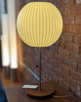 Minimalist Organic Table Lamp