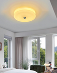 Disc Ceiling Lamp