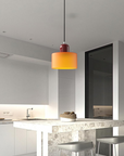 Curved Sculptural Pendant Lamp