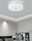 Disc Ceiling Lamp