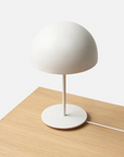 Plastic & Iron Table Lamp