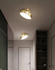 Minimalist Ceiling Lamp