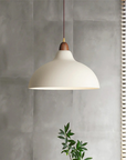 Curved Pendant Lamp