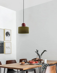 Curved Sculptural Pendant Lamp