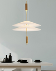 Sculptural Floating Pendant Lamp