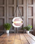 Capsule Glass Pendant Lamp