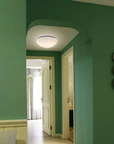 Pleated Shell-Inspired Ceiling Lamp