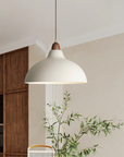 Curved Pendant Lamp