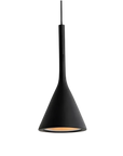 Contemporary Pendant Lamp