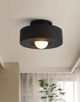 Circular Ceiling Lamp