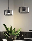 Curved Mirror-Finish Pendant Lamp