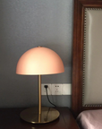 Plastic & Iron Table Lamp