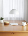 Plastic & Iron Table Lamp