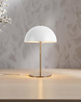 Plastic & Iron Table Lamp
