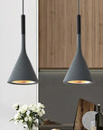 Contemporary Pendant Lamp