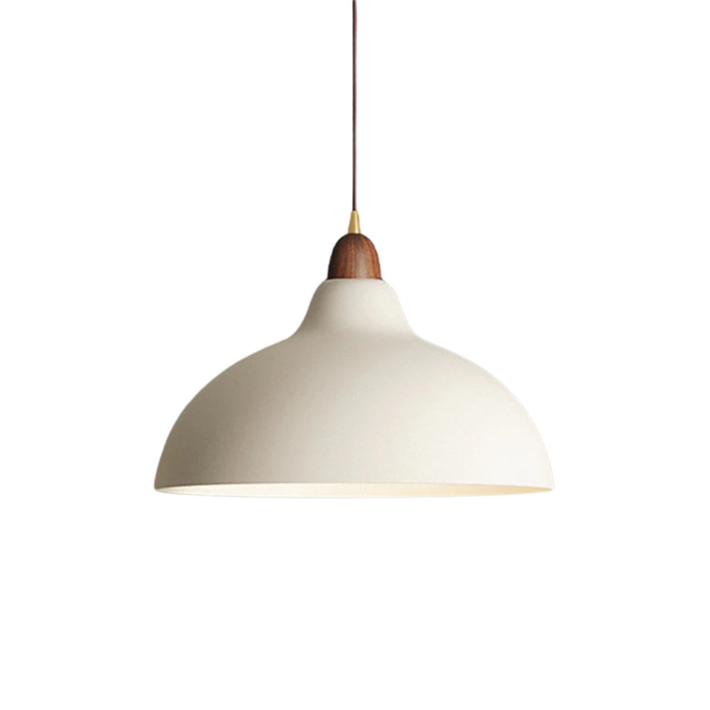 Curved Pendant Lamp
