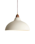 Curved Pendant Lamp