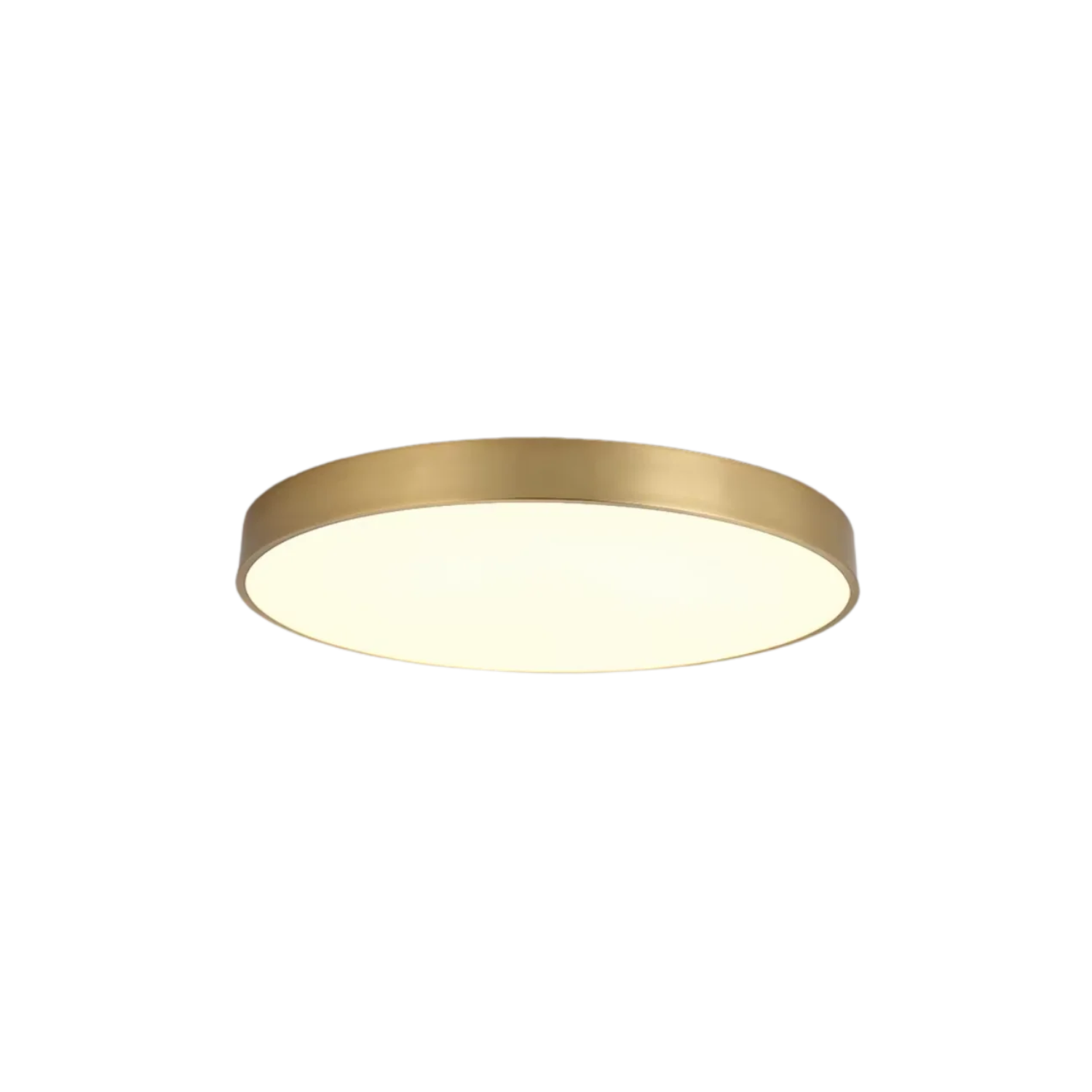 Golden Circle Ceiling Lamp