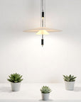 Geometric Floating Pendant Lamp