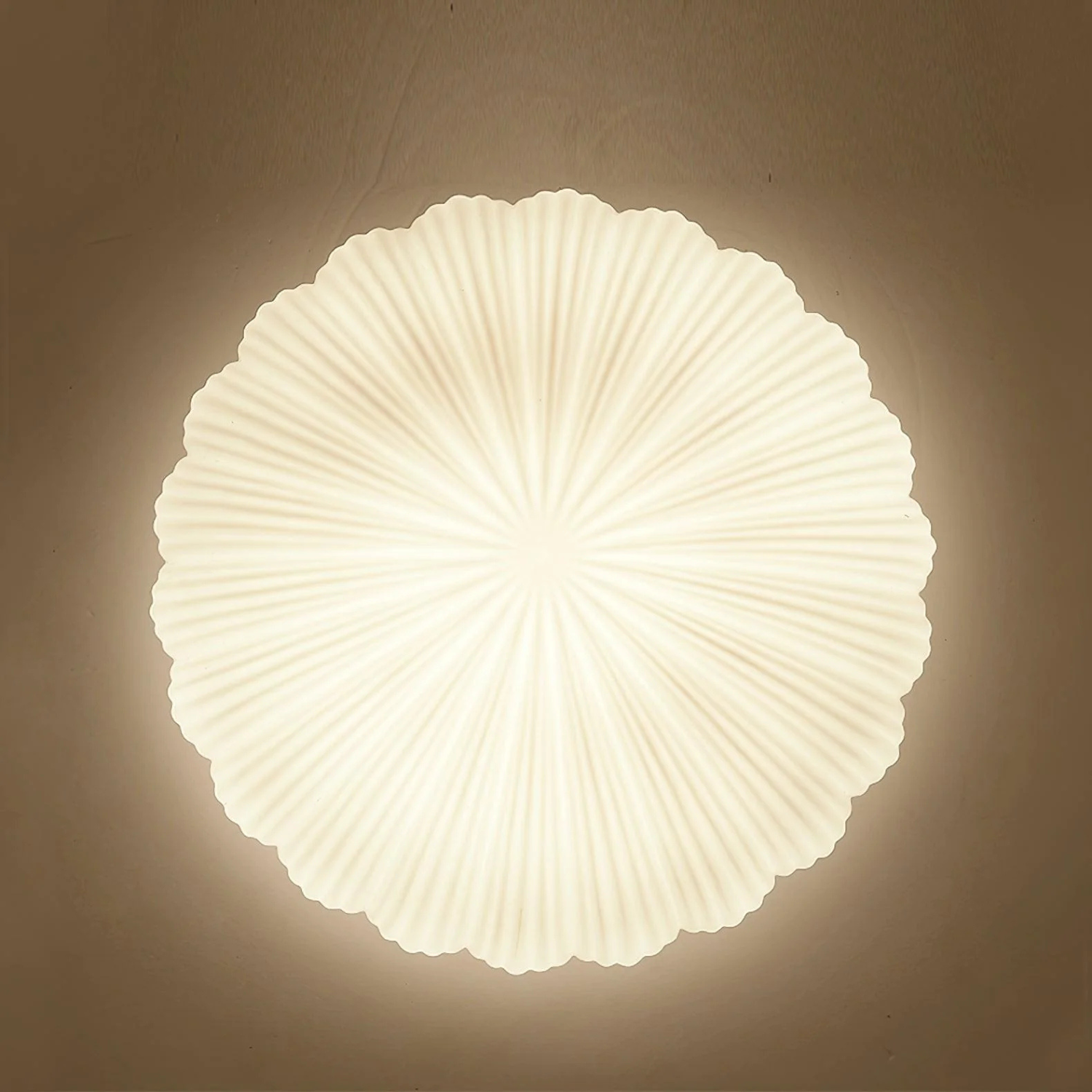Pleated Shell-Inspired Ceiling Lamp