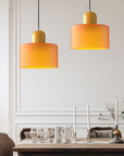 Curved Sculptural Pendant Lamp