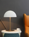 Plastic & Iron Table Lamp