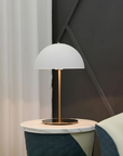 Plastic & Iron Table Lamp