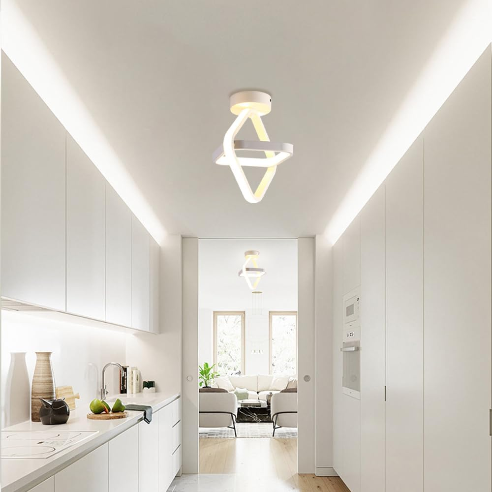 Ribbon Loop Ceiling Lamp