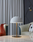Plastic & Iron Table Lamp
