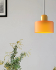 Curved Sculptural Pendant Lamp