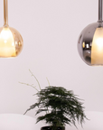 Rounded Glass Pendant Lamp