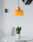 Curved Sculptural Pendant Lamp