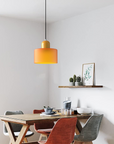 Curved Sculptural Pendant Lamp