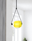 Capsule Glass Pendant Lamp