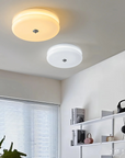 Disc Ceiling Lamp