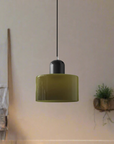 Curved Sculptural Pendant Lamp