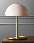Plastic & Iron Table Lamp