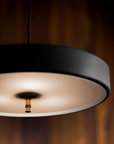 Floating Circular Pendant Lamp
