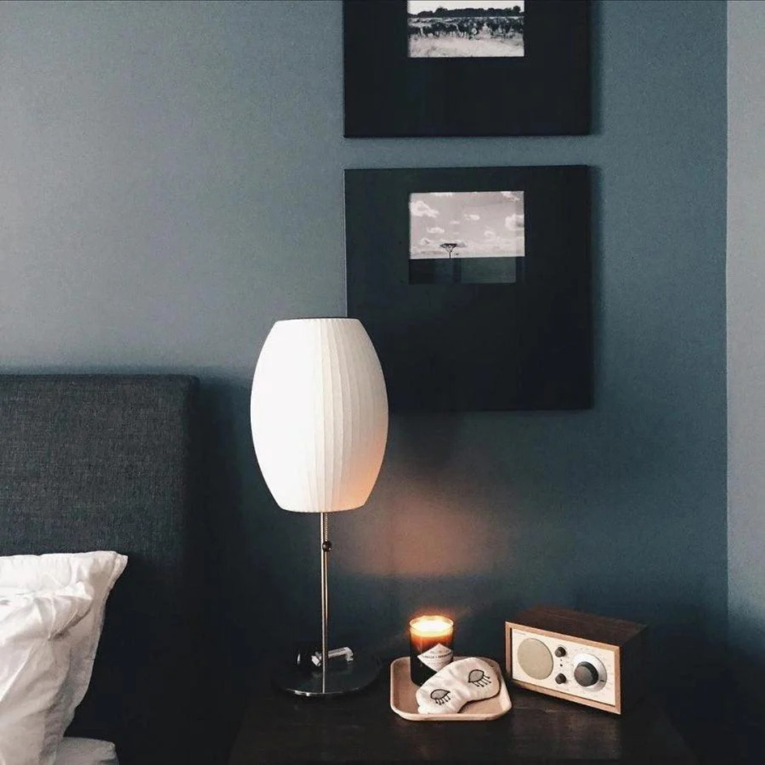 Minimalist Organic Table Lamp