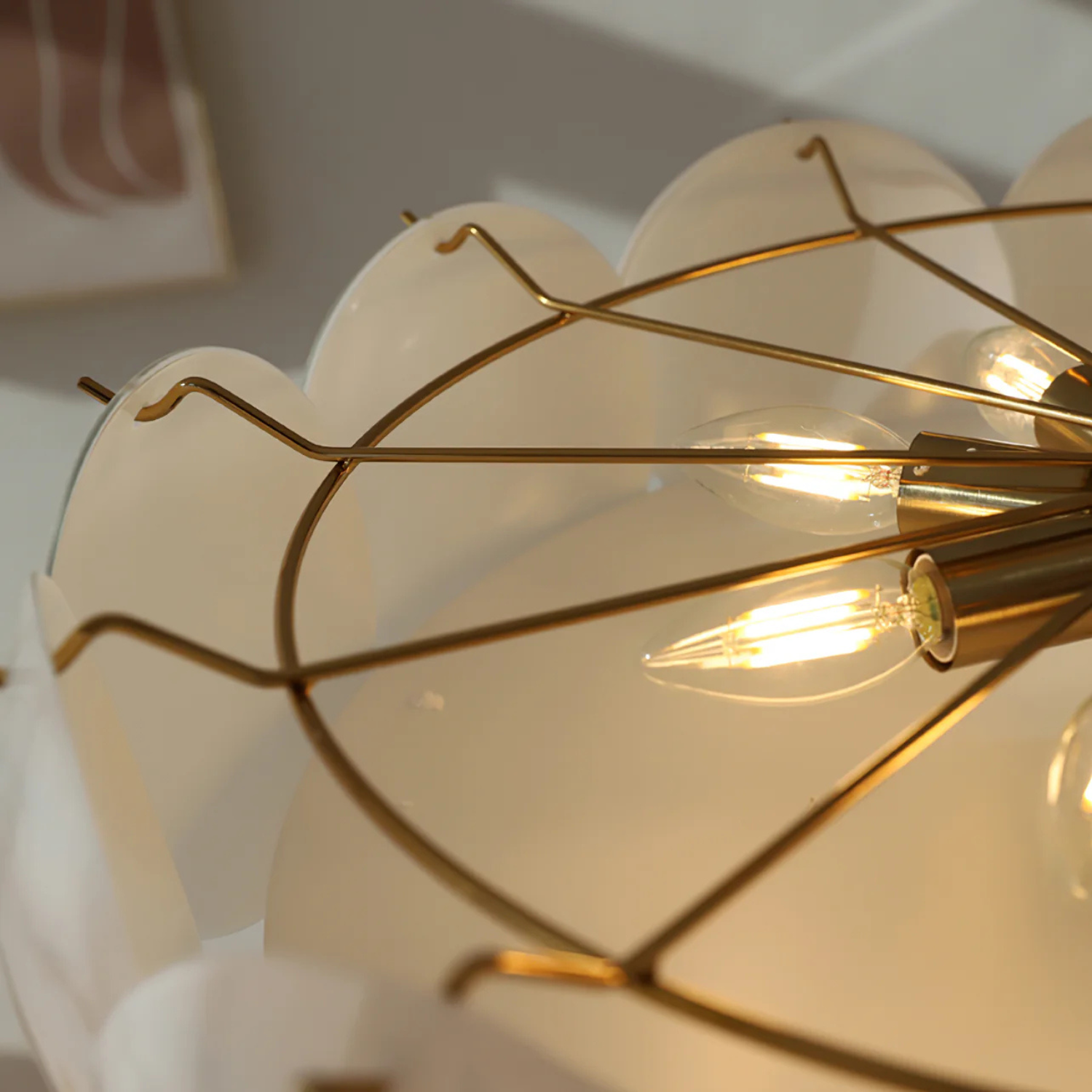 Iron Plated Ceiling Lamp