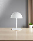 Plastic & Iron Table Lamp