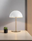 Plastic & Iron Table Lamp