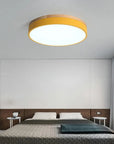 Wood Accent Ceiling Lamp