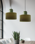 Curved Sculptural Pendant Lamp